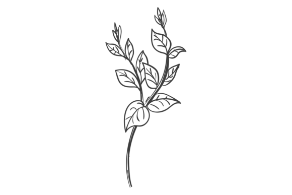 Botanical Element: Natural Decorative Sketches for Modern Design