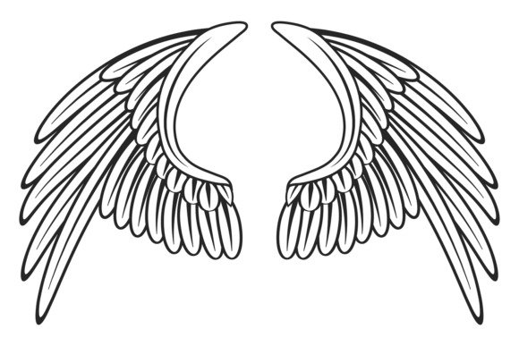 The Art and Application of Heraldic Wings Drawing: A Guide to Decorative Bird Design